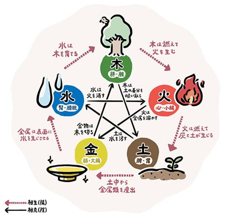 五行色体表とは|五行色体表とは？ビギナーからベテランまで役立つ使い方ガイド。